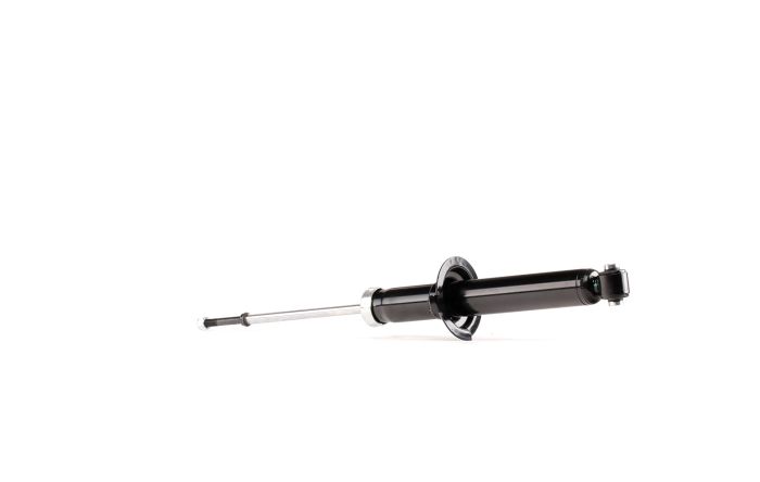 Амортизатор підвіски задній газомасляний Nipparts J5525003G
