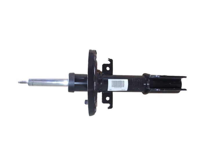 Передня двостороння амортизаційна стійка RENAULT 543020016R